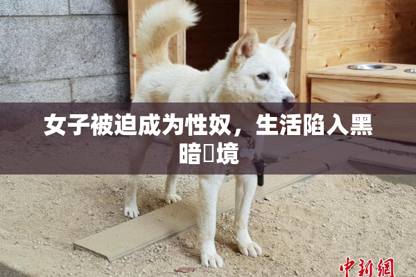 女子被迫成为性奴，生活陷入黑暗囧境