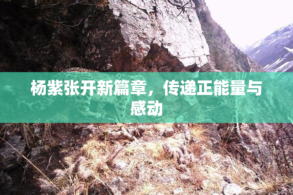 杨紫张开新篇章，传递正能量与感动