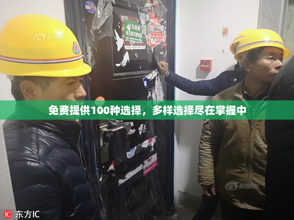 免费提供100种选择，多样选择尽在掌握中