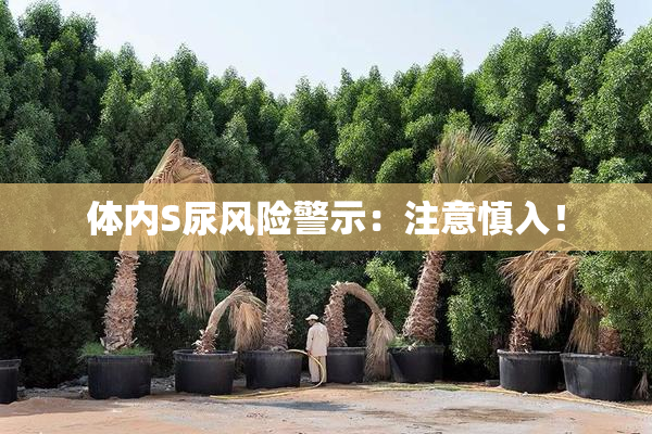体内S尿风险警示：注意慎入！