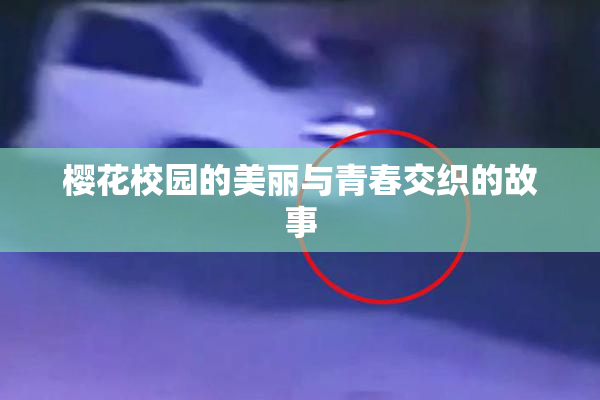 樱花校园的美丽与青春交织的故事