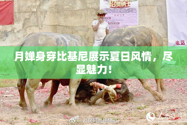 月婵身穿比基尼展示夏日风情，尽显魅力！