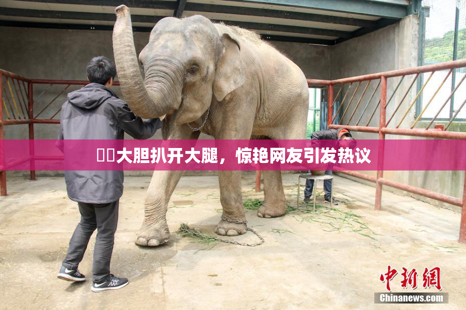 妺妺大胆扒开大腿，惊艳网友引发热议