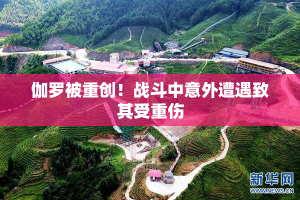 伽罗被重创！战斗中意外遭遇致其受重伤
