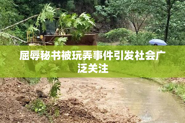 屈辱秘书被玩弄事件引发社会广泛关注