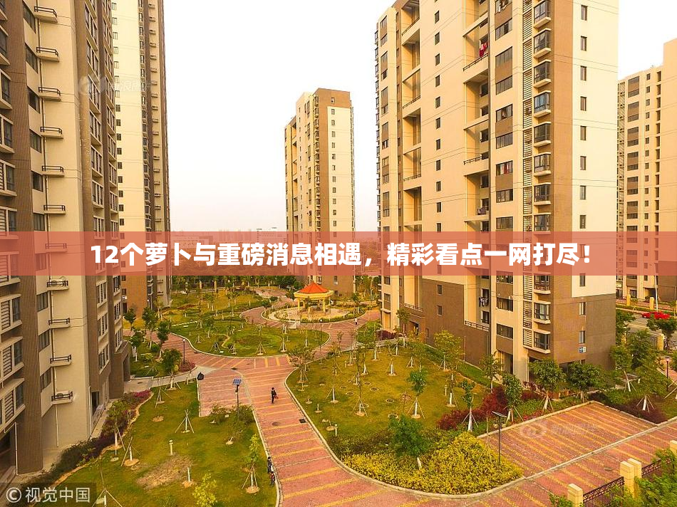 12个萝卜与重磅消息相遇，精彩看点一网打尽！