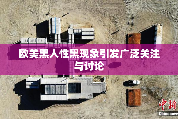 欧美黑人性黑现象引发广泛关注与讨论
