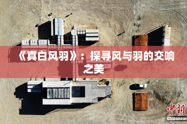 《真白风羽》：探寻风与羽的交响之美