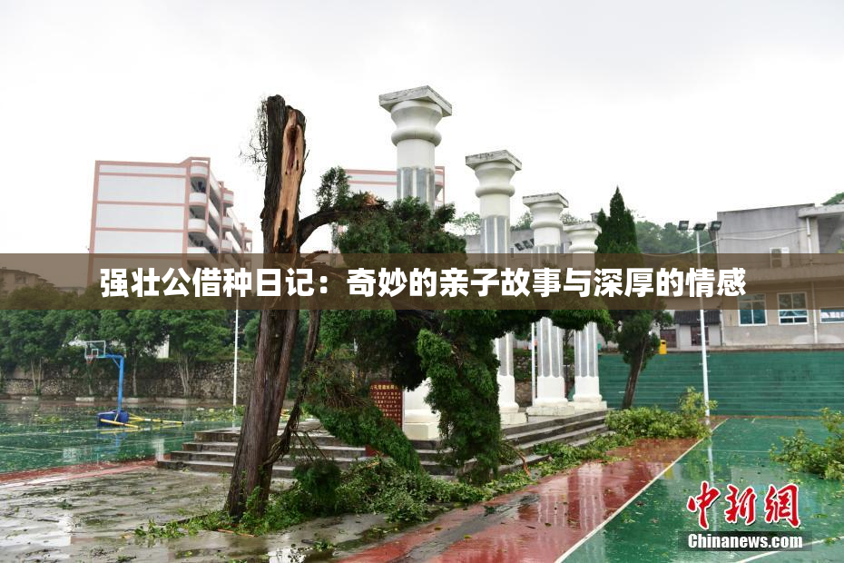 强壮公借种日记：奇妙的亲子故事与深厚的情感
