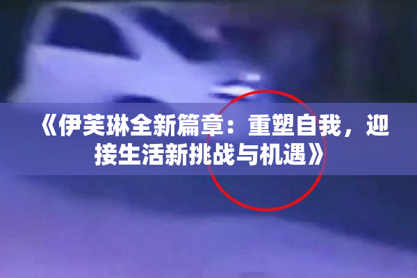 《伊芙琳全新篇章：重塑自我，迎接生活新挑战与机遇》