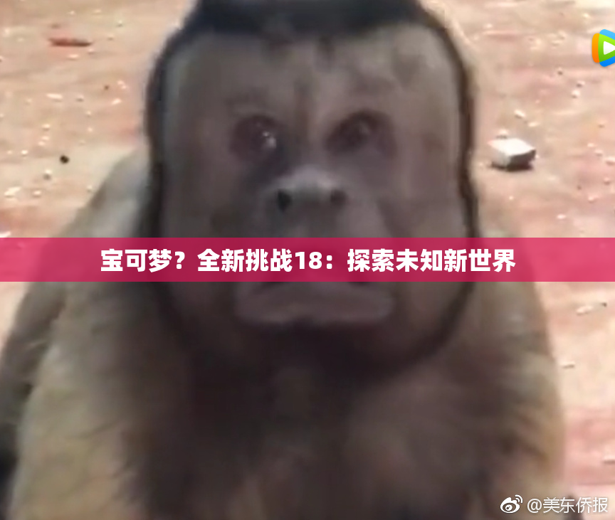 宝可梦？全新挑战18：探索未知新世界