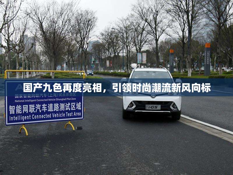 国产九色再度亮相，引领时尚潮流新风向标