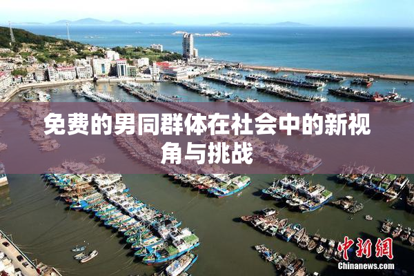 免费的男同群体在社会中的新视角与挑战