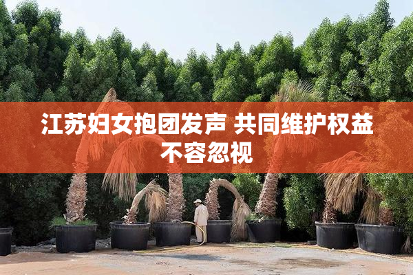 江苏妇女抱团发声 共同维护权益不容忽视