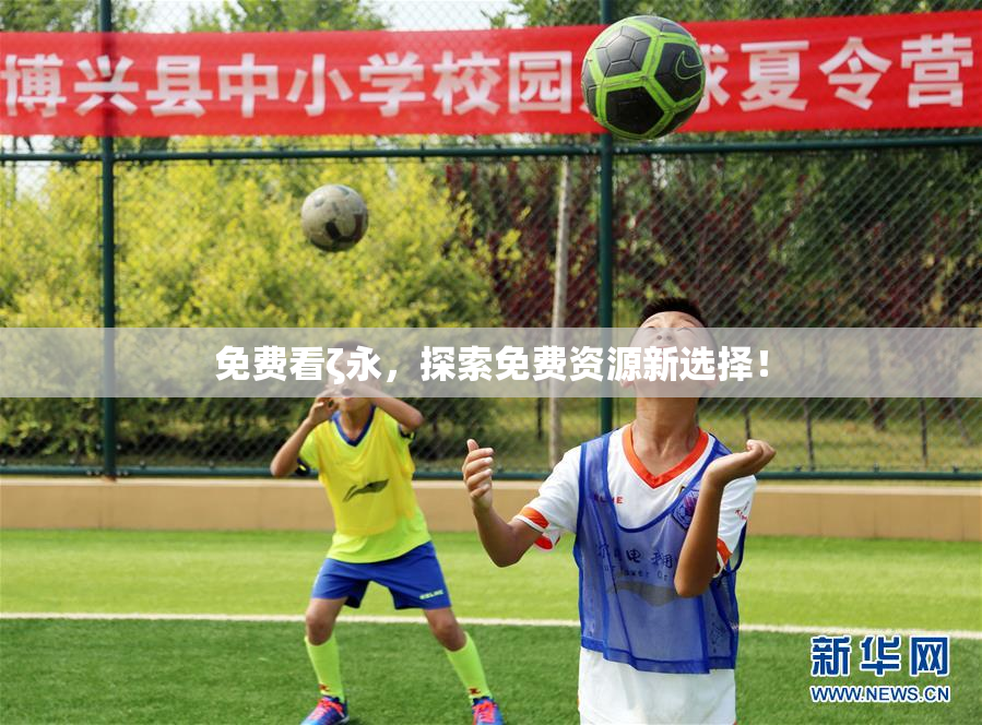 免费看ζ永，探索免费资源新选择！