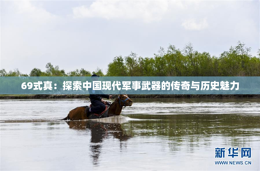 69式真：探索中国现代军事武器的传奇与历史魅力