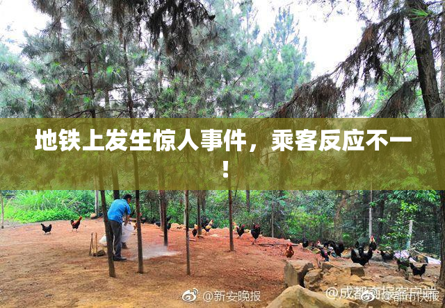 地铁上发生惊人事件，乘客反应不一！
