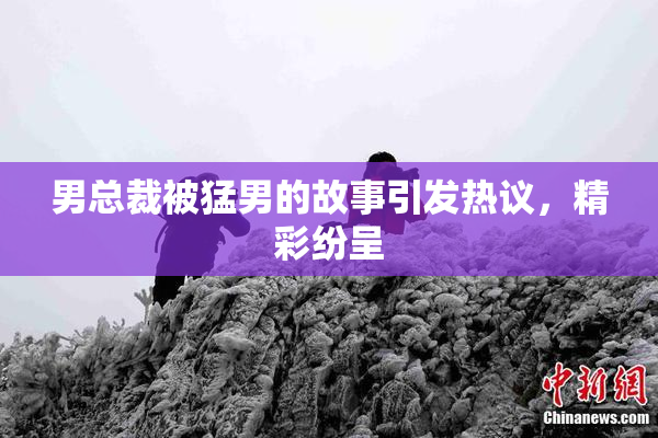 男总裁被猛男的故事引发热议，精彩纷呈