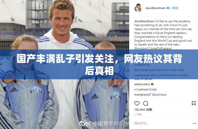 国产丰满乱子引发关注，网友热议其背后真相