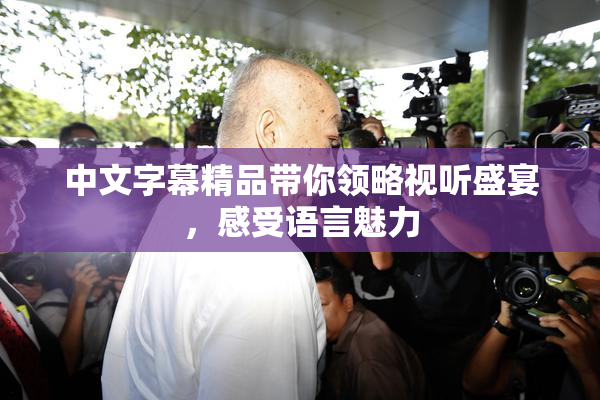 中文字幕精品带你领略视听盛宴，感受语言魅力