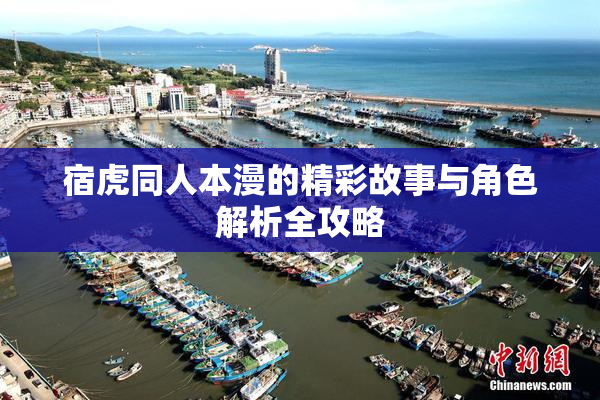 宿虎同人本漫的精彩故事与角色解析全攻略