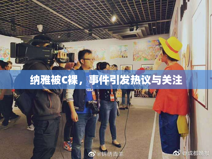纳雅被C裸，事件引发热议与关注