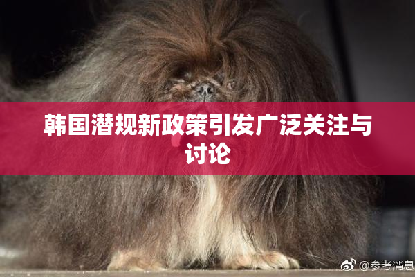 韩国潜规新政策引发广泛关注与讨论