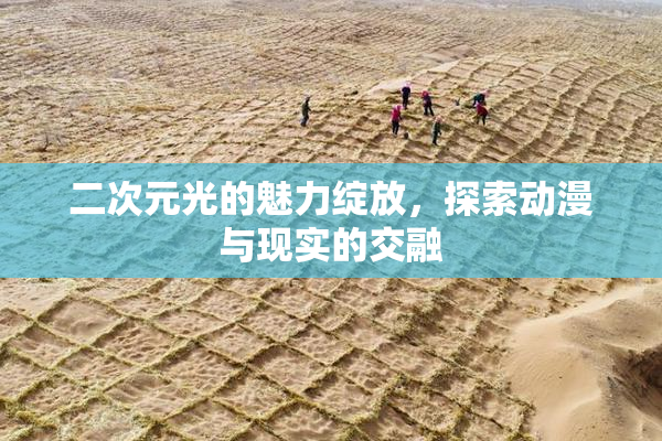 二次元光的魅力绽放，探索动漫与现实的交融