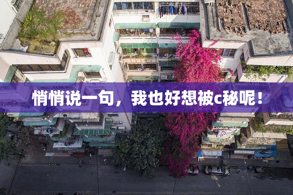 悄悄说一句，我也好想被c秘呢！