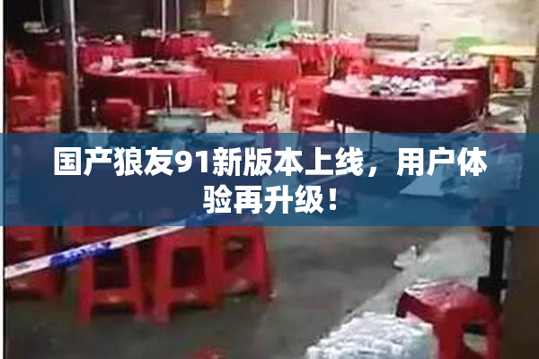 国产狼友91新版本上线，用户体验再升级！