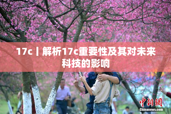 17c丨解析17c重要性及其对未来科技的影响