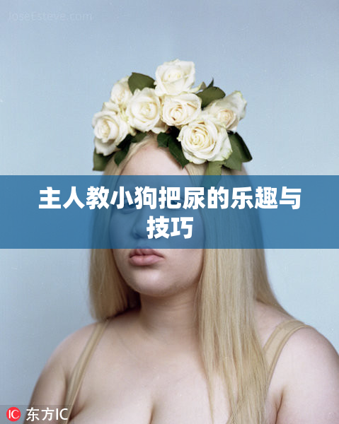 主人教小狗把尿的乐趣与技巧