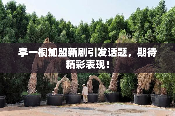 李一桐加盟新剧引发话题，期待精彩表现！
