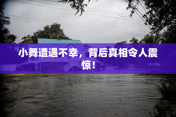 小舞遭遇不幸，背后真相令人震惊！