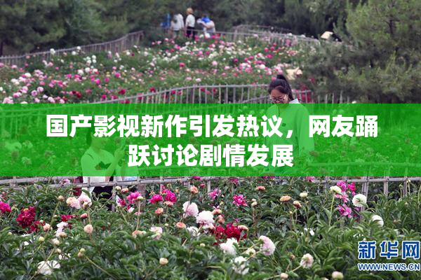 国产影视新作引发热议，网友踊跃讨论剧情发展