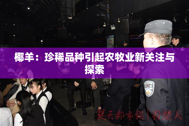 椰羊：珍稀品种引起农牧业新关注与探索