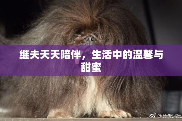 继夫天天陪伴，生活中的温馨与甜蜜
