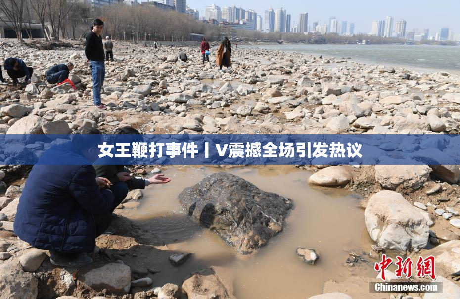 女王鞭打事件丨V震撼全场引发热议