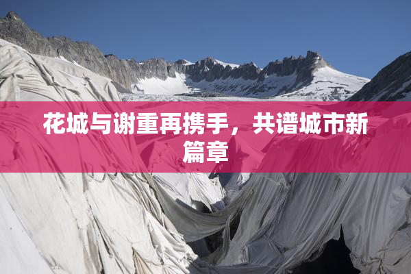 花城与谢重再携手，共谱城市新篇章