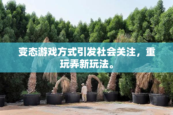 变态游戏方式引发社会关注，重玩弄新玩法。