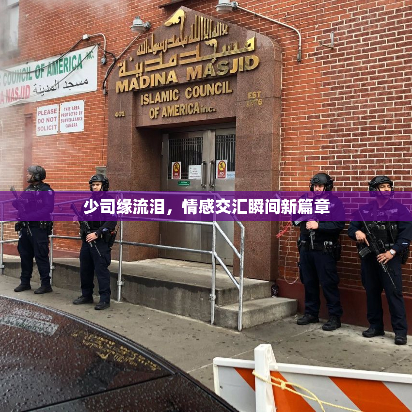 少司缘流泪，情感交汇瞬间新篇章