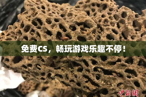 免费CS，畅玩游戏乐趣不停！