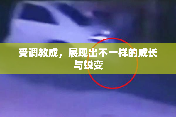 受调教成，展现出不一样的成长与蜕变