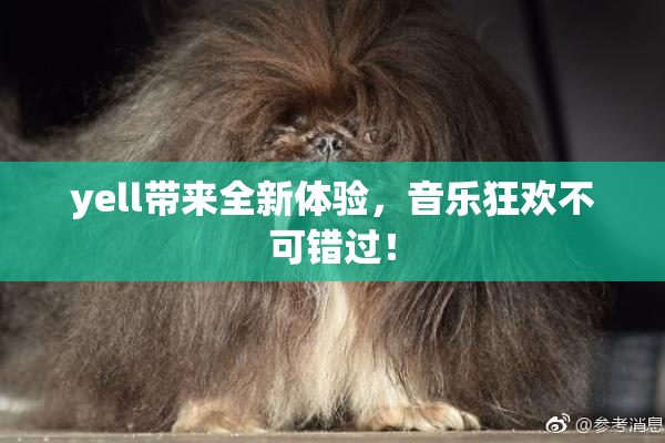 yell带来全新体验，音乐狂欢不可错过！