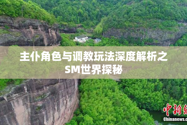 主仆角色与调教玩法深度解析之SM世界探秘
