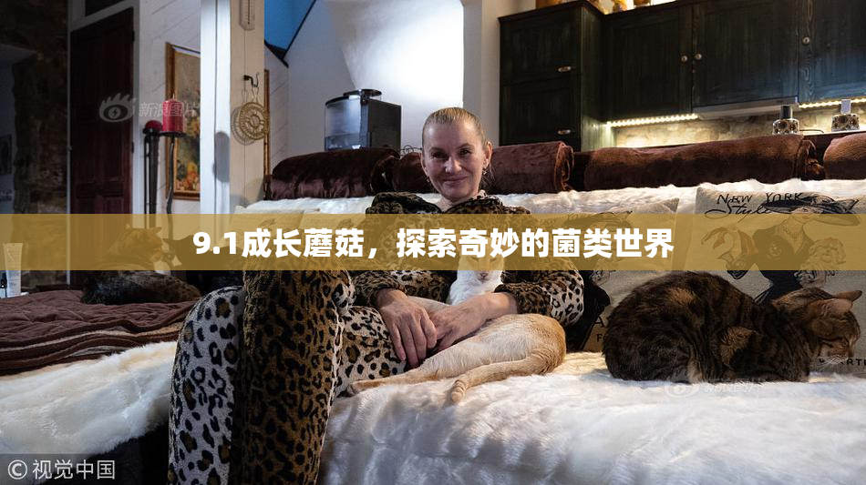 9.1成长蘑菇，探索奇妙的菌类世界