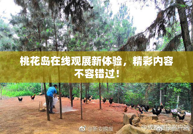 桃花岛在线观展新体验，精彩内容不容错过！