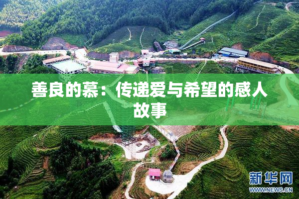 善良的慕：传递爱与希望的感人故事