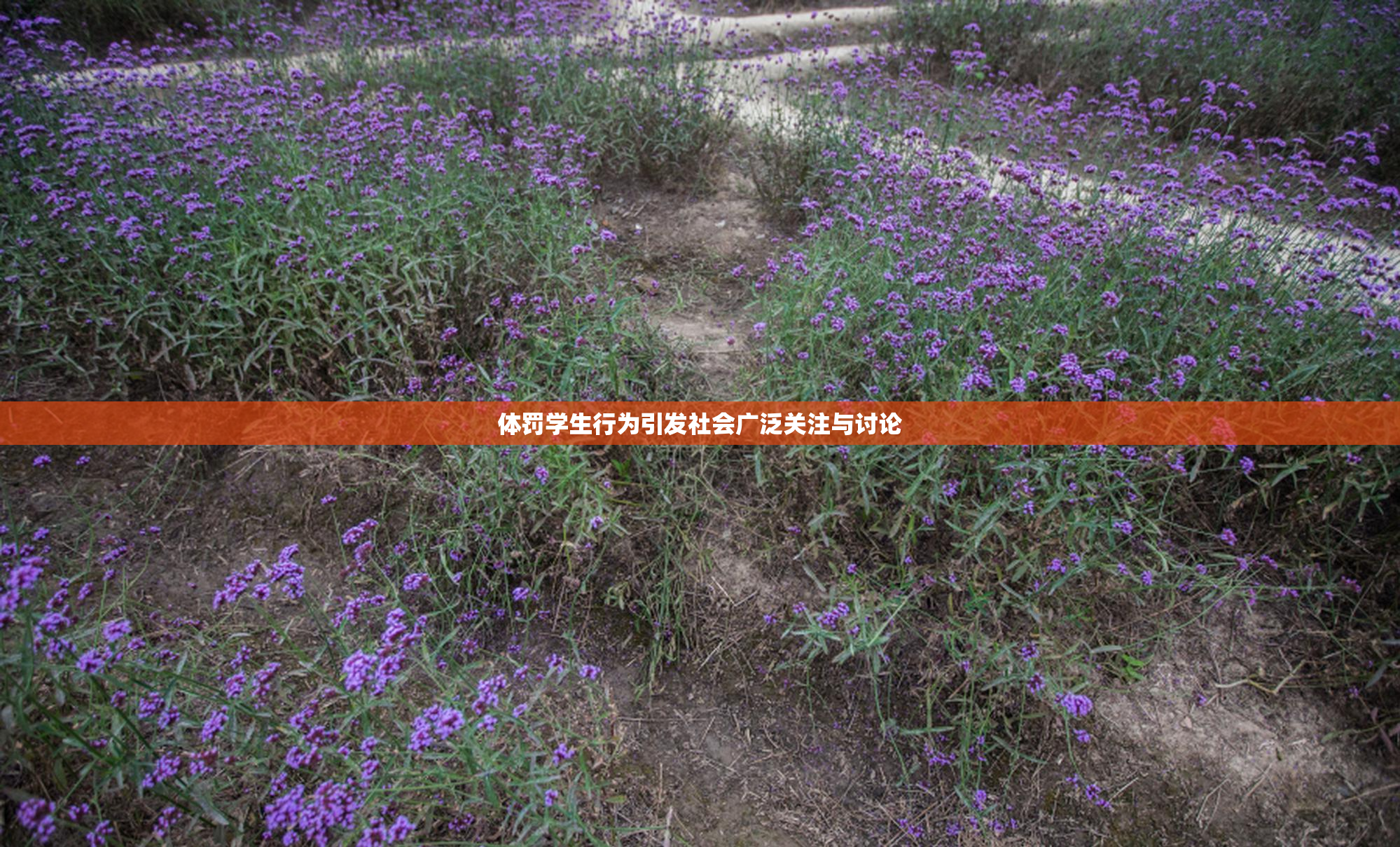 体罚学生行为引发社会广泛关注与讨论