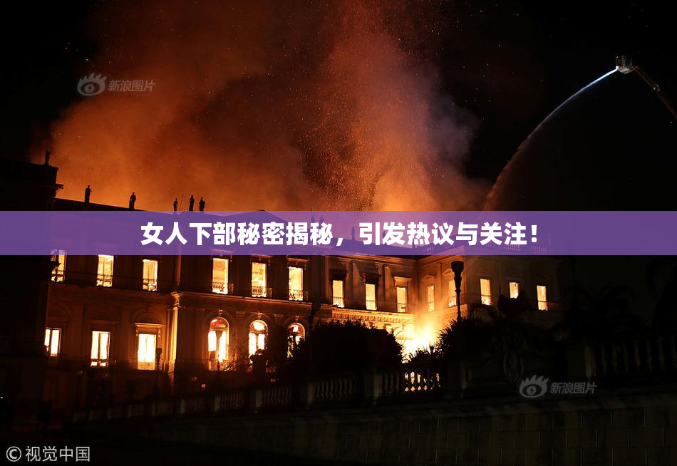 女人下部秘密揭秘，引发热议与关注！